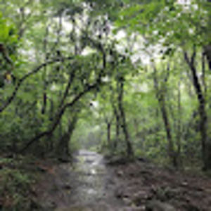 Meet your Posher, Ely